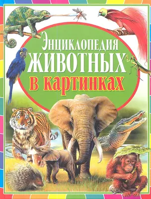 Энциклопедия животных в картинках — 2345676 — 1