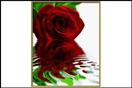 Набор для раскрашивания Красная роза (609130521) (40х50см) (коробка) 2272522