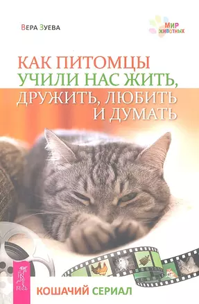 Как питомцы учили нас жить, дружить, любить и думать. Кошачий сериал — 2324354 — 1