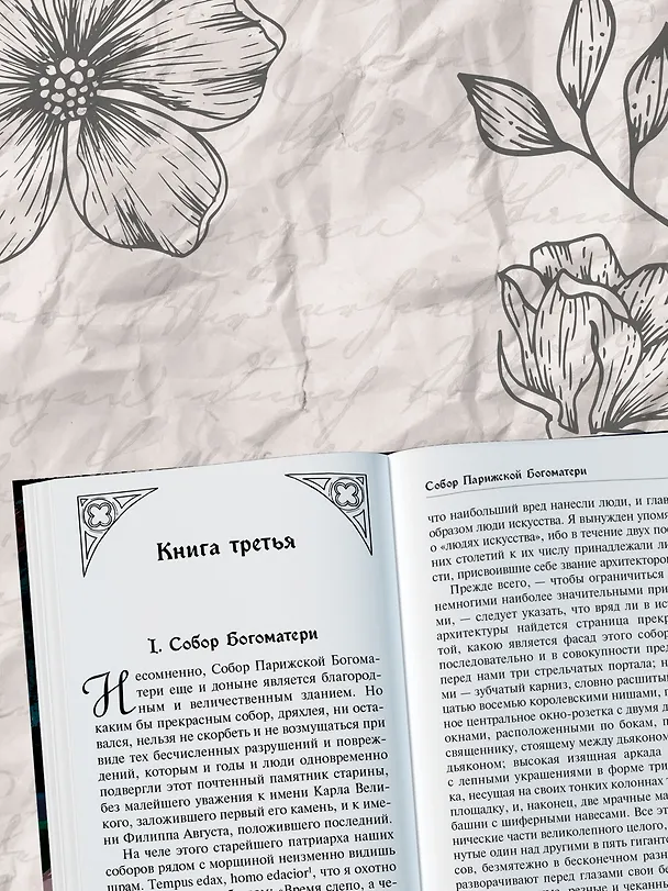 Книга Собор Парижской Богоматери (Виктор Мари Гюго) — 6