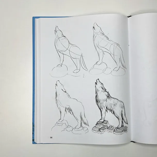 Книга Суперкурс по рисованию для продвинутых (Мистер Грей) — 8
