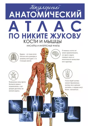 Популярный анатомический атлас по Никите Жукову. Кости и мышцы. Инсайты и интересные факты — 2920205 — 1