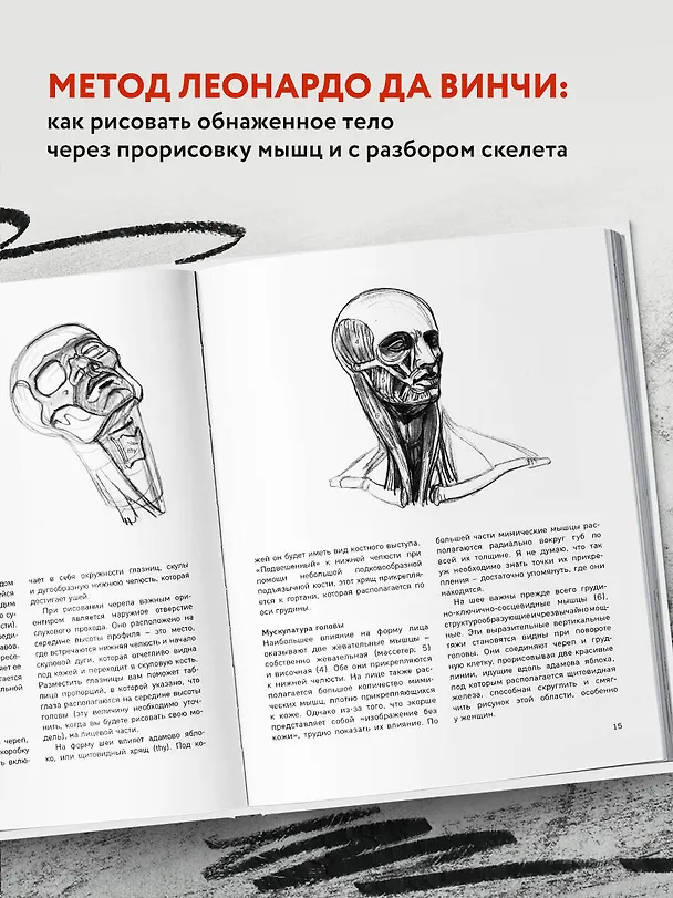 Книга МОРФО. Анатомия для художников (Мишель Лауричелла) — 7