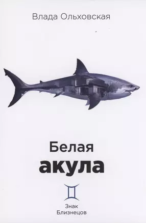 Белая акула — 2880404 — 1