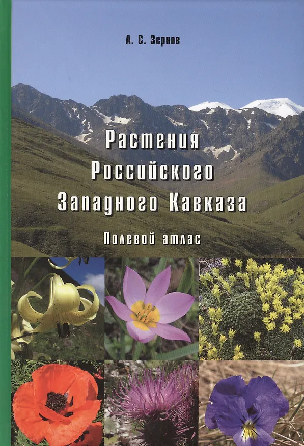 Книга Растения Российского Западного Кавказа: Полевой атлас (Александр Зернов) — 1