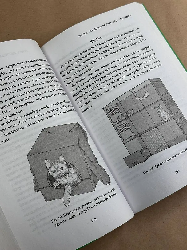 Книга Здравствуйте, я ваша кошка! Руководство по уходу, общению и воспитанию (Анна Орлова) — 7