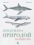 Придумано природой. Биомиметика — 2771789 — 1