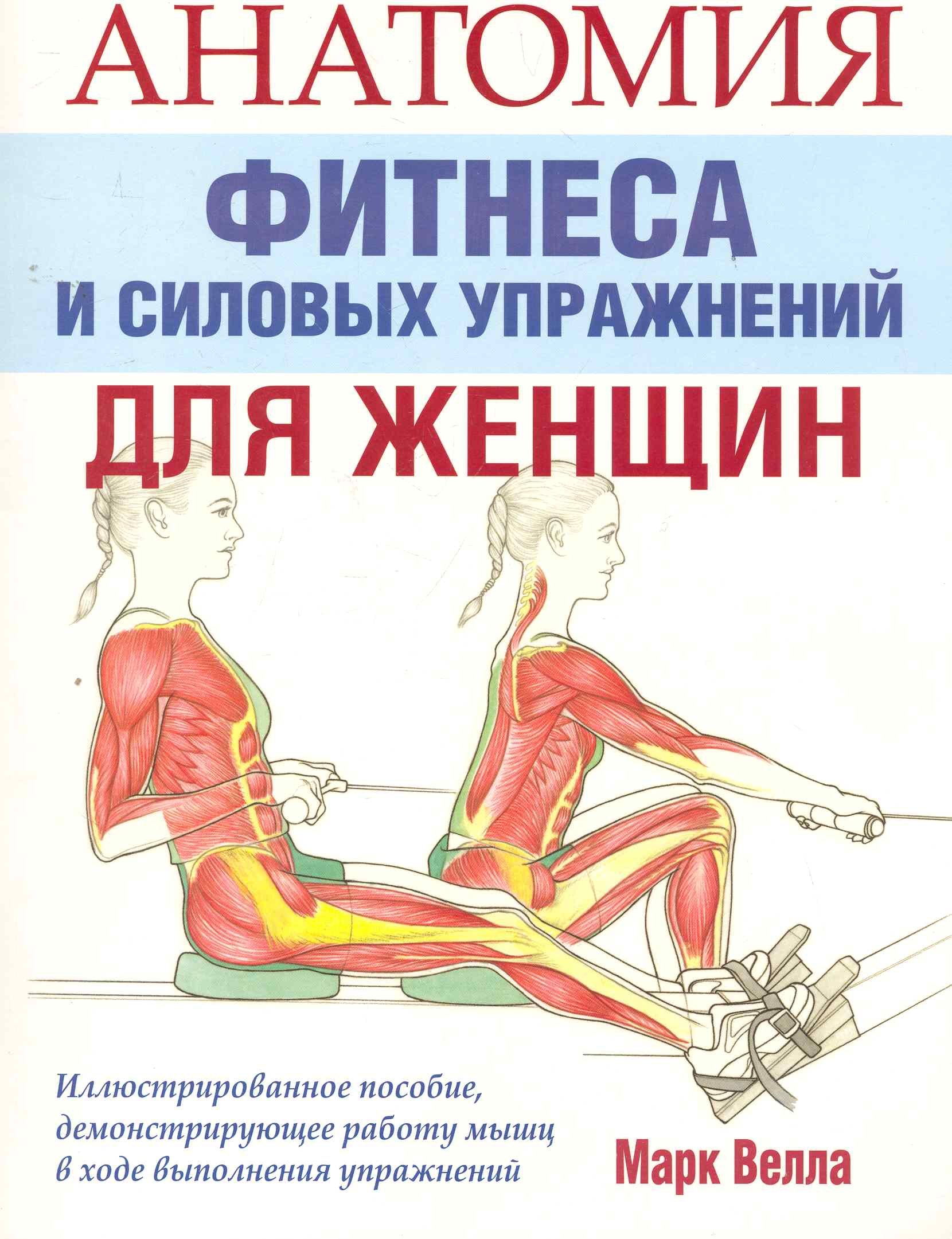 

Анатомия фитнеса и силовых упражнений для женщин