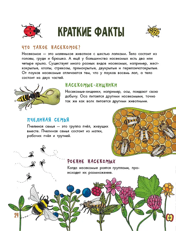 Книга Насекомые (Эмма Янссон) — 11