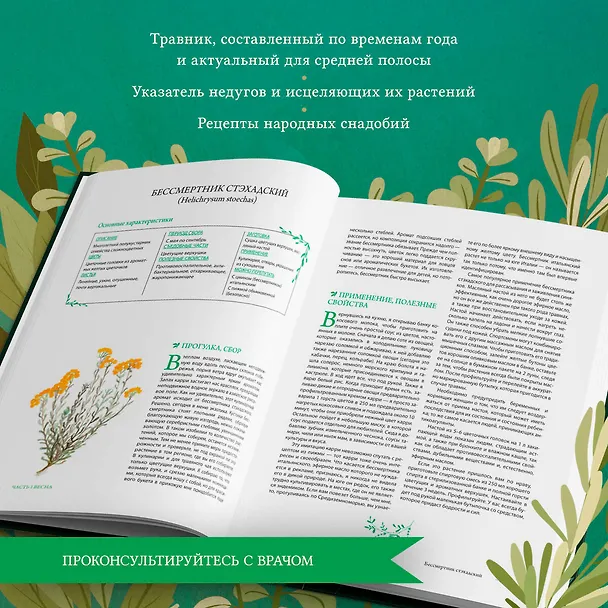 Книга Гримуар травницы. Иллюстрированный справочник по сбору, заготовкам и полезным свойствам дикорастущих растений (Франсуаза Кунстманн) — 8