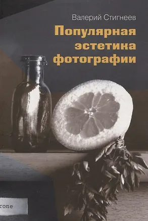 Книга Популярная эстетика фотографии (Валерий Стигнеев)