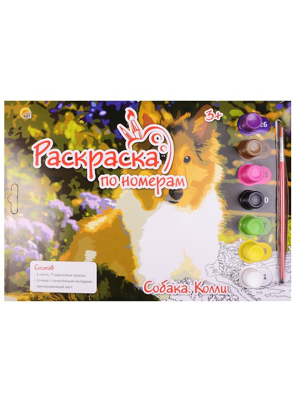 Картина-раскраска по номерам «Собака Колли», 7 цветов, Рыжий Кот 2595566 — 1