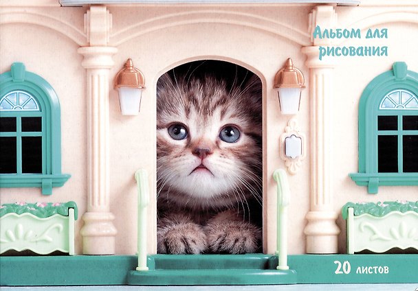 Альбом для рисования «В домике» Listoff А4, 20 листов, склейка 2973121 — 1