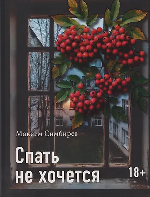 Книга Спать не хочется (Максим Симбирев)