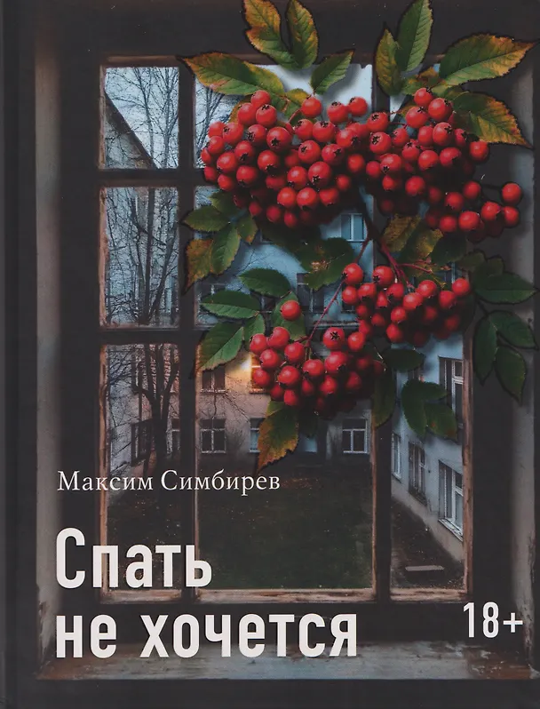 Книга Спать не хочется (Максим Симбирев) — 1