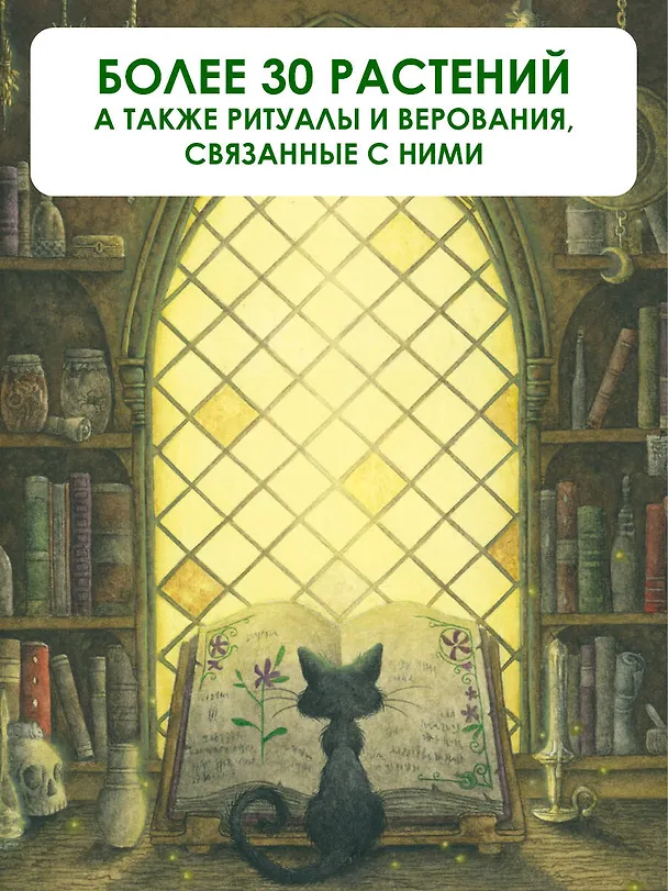 Книга Секреты колдовских растений (Ришар Эли) — 6