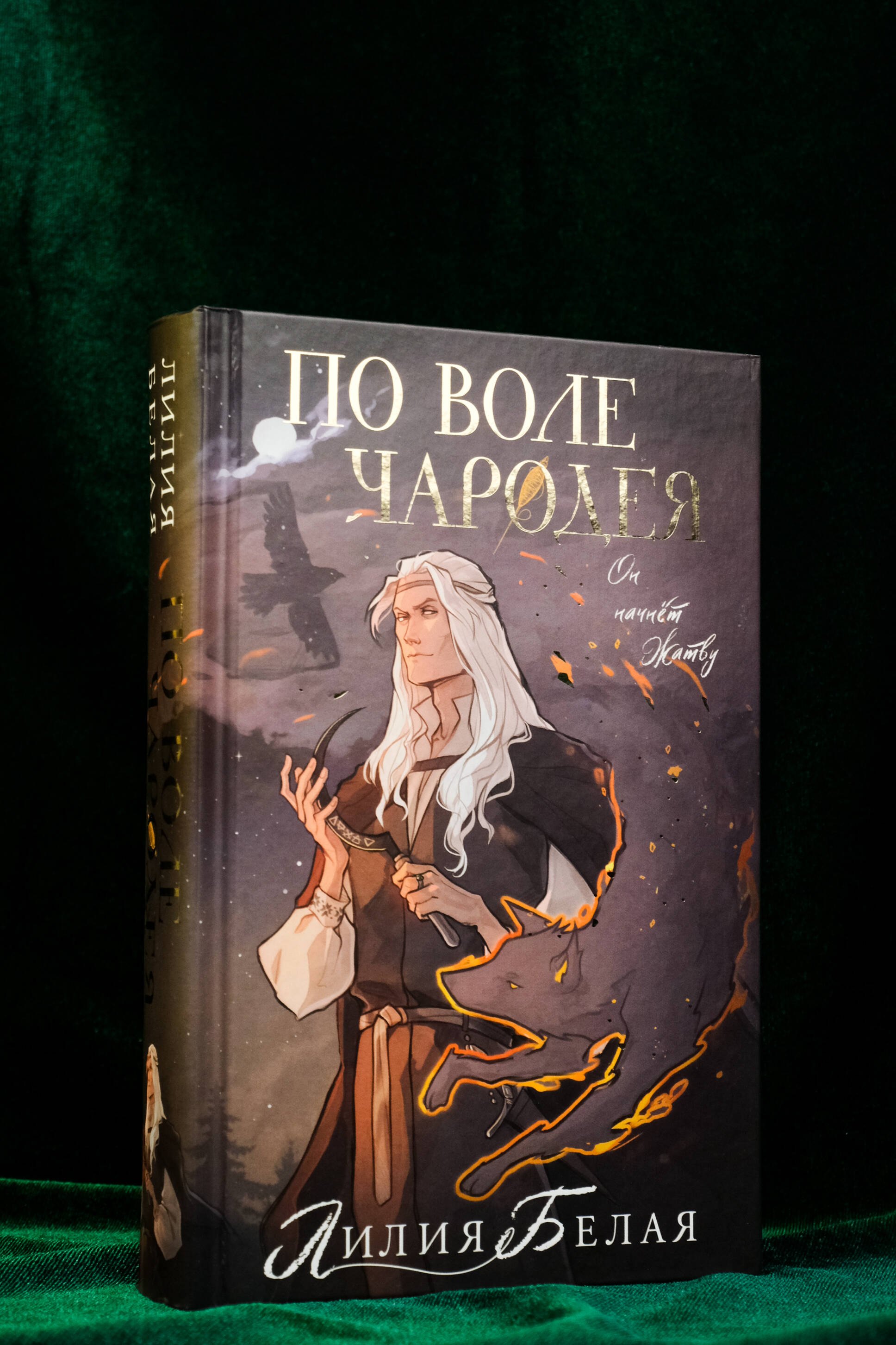 Изображение бумажной книги