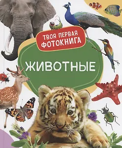 Животные. Твоя первая фотокнига
