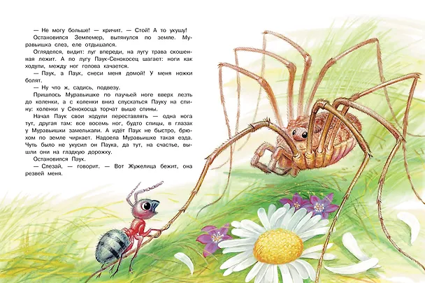 Книга Сказки. К 130-летию писателя (Виталий Бианки) — 8