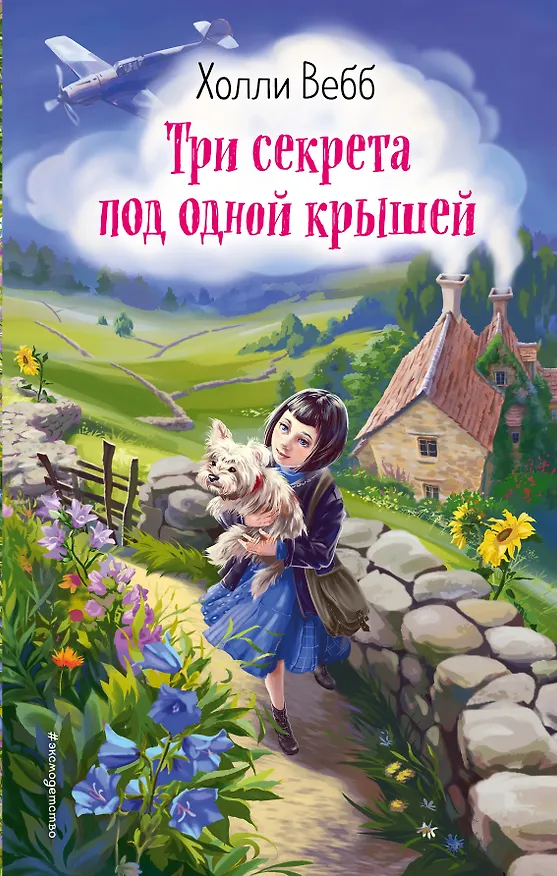 Книга Три секрета под одной крышей (Холли Вебб) — 1