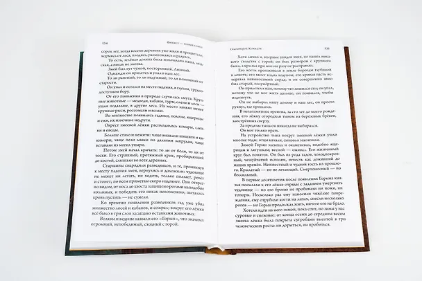 Книга Финист – ясный сокол (Андрей Рубанов) — 11
