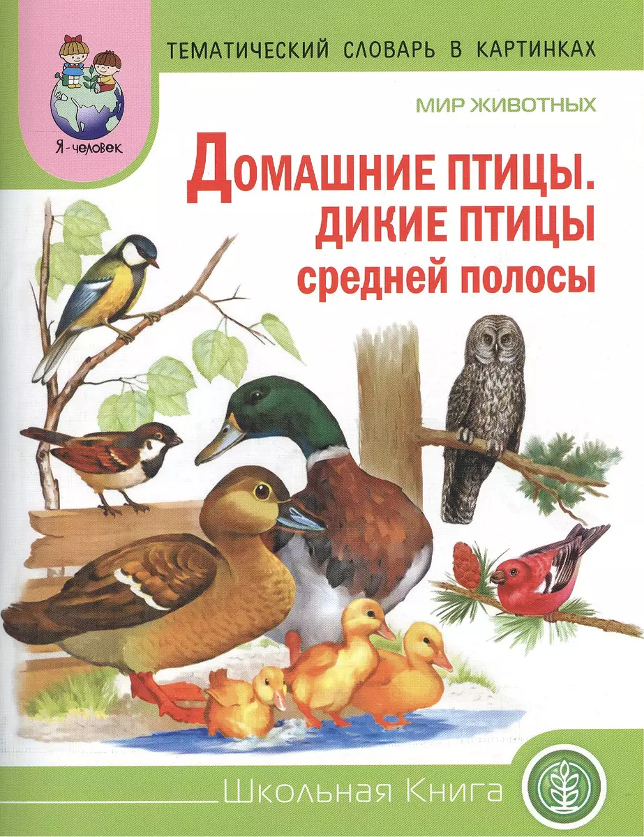 Мир животных Домашние птицы Дикие птицы средн. полосы (мТемСлКартинк) (Л.  Н.) - купить книгу с доставкой в интернет-магазине «Читай-город». ISBN:  978-5-0001-3003-2