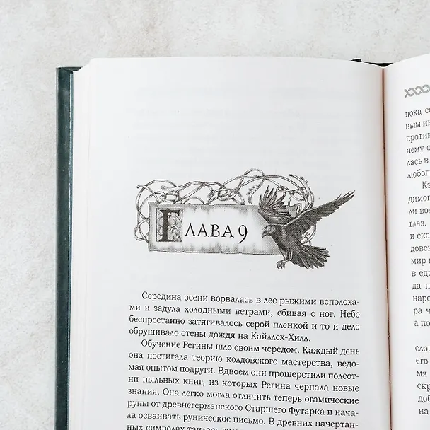 Книга Пробуждение тьмы (Риган Хэйс) — 8