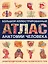Энциклопедический атлас человеческого тела (ISBN 5-17-038347-9 в суперобложке "Большой иллюстрированный атлас анатомии человека") — 2451852 — 1
