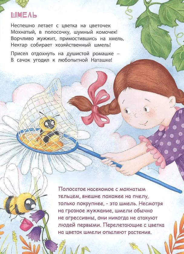 Книга В небе и на земле (Татьяна Боброва) — 3