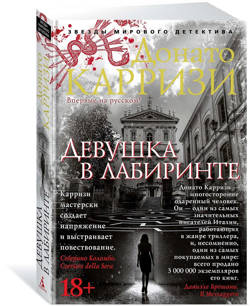 Девушка в лабиринте (Донато Карризи) - купить книгу с доставкой в  интернет-магазине «Читай-город». ISBN: 978-5-389-15855-9