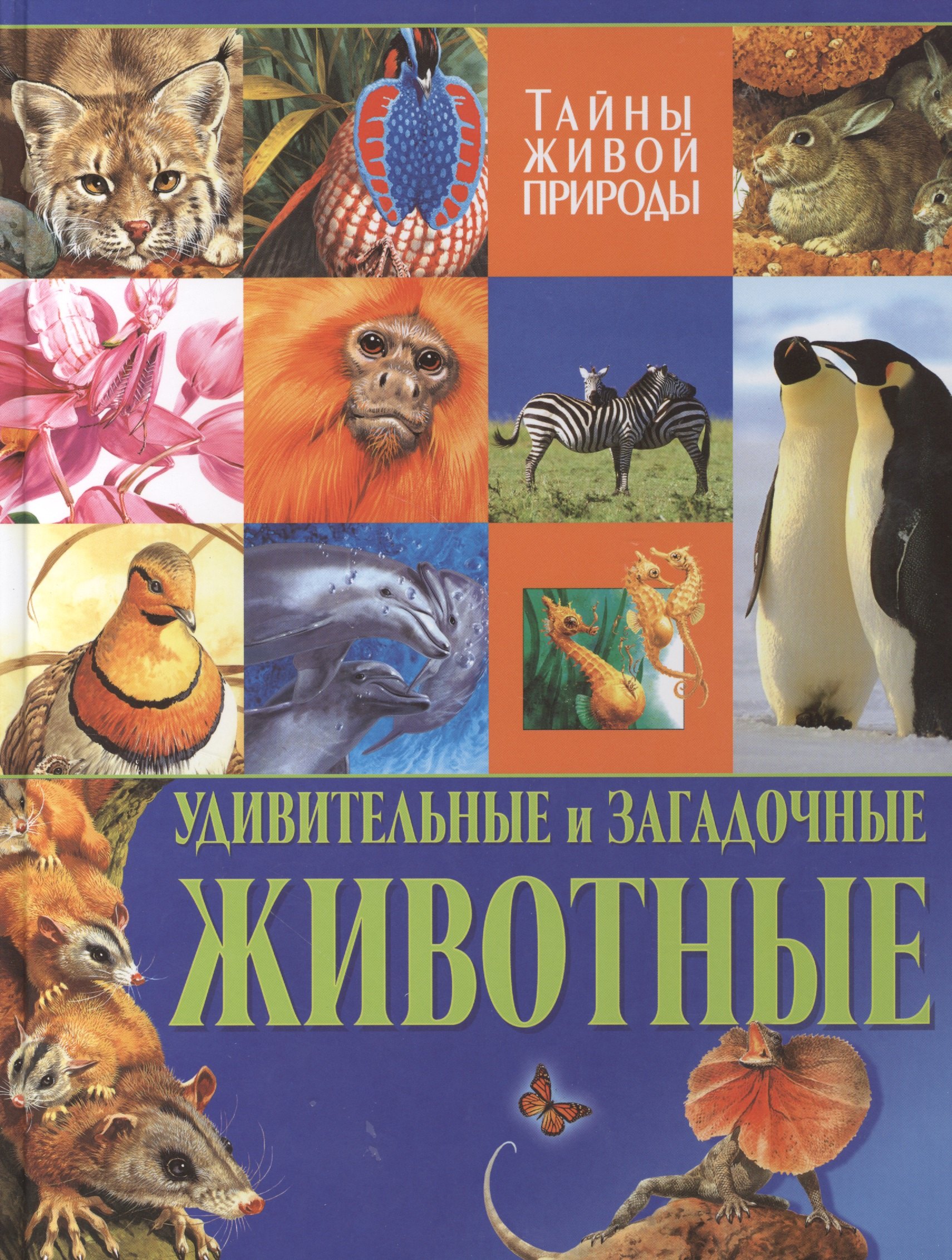 

Удивительные и загадочные животные. Тайны живой природы