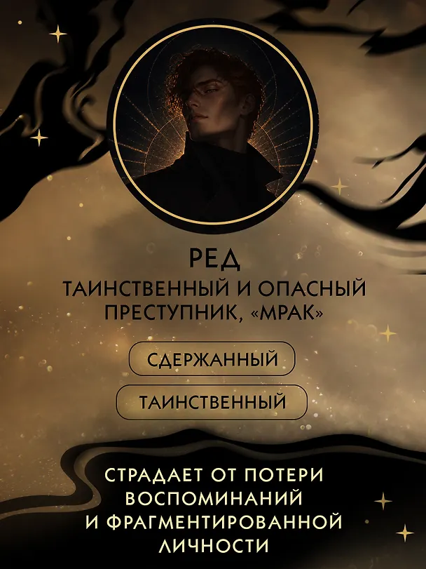 Книга Похитительница Ночи (#2) (Холли Блэк) — 7