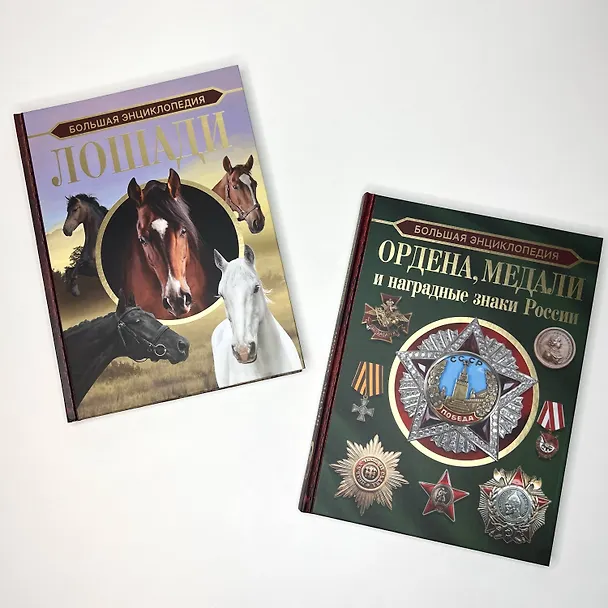 Книга Большая энциклопедия. Ордена, медали и наградные знаки России (Игорь Гусев) — 9