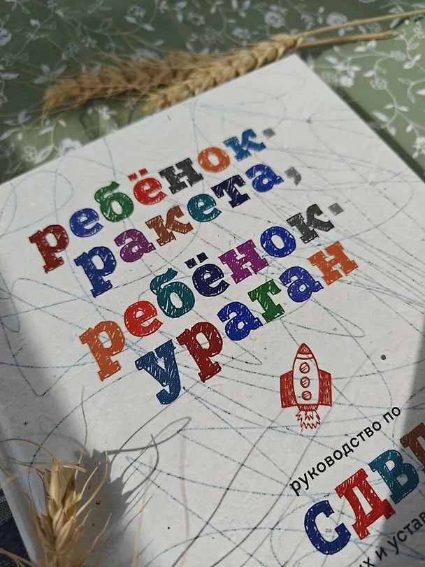 Книга Ребенок-ракета, ребенок-ураган. Руководство по СДВГ для любящих и уставших родителей (Михаил Лабковский) — 14