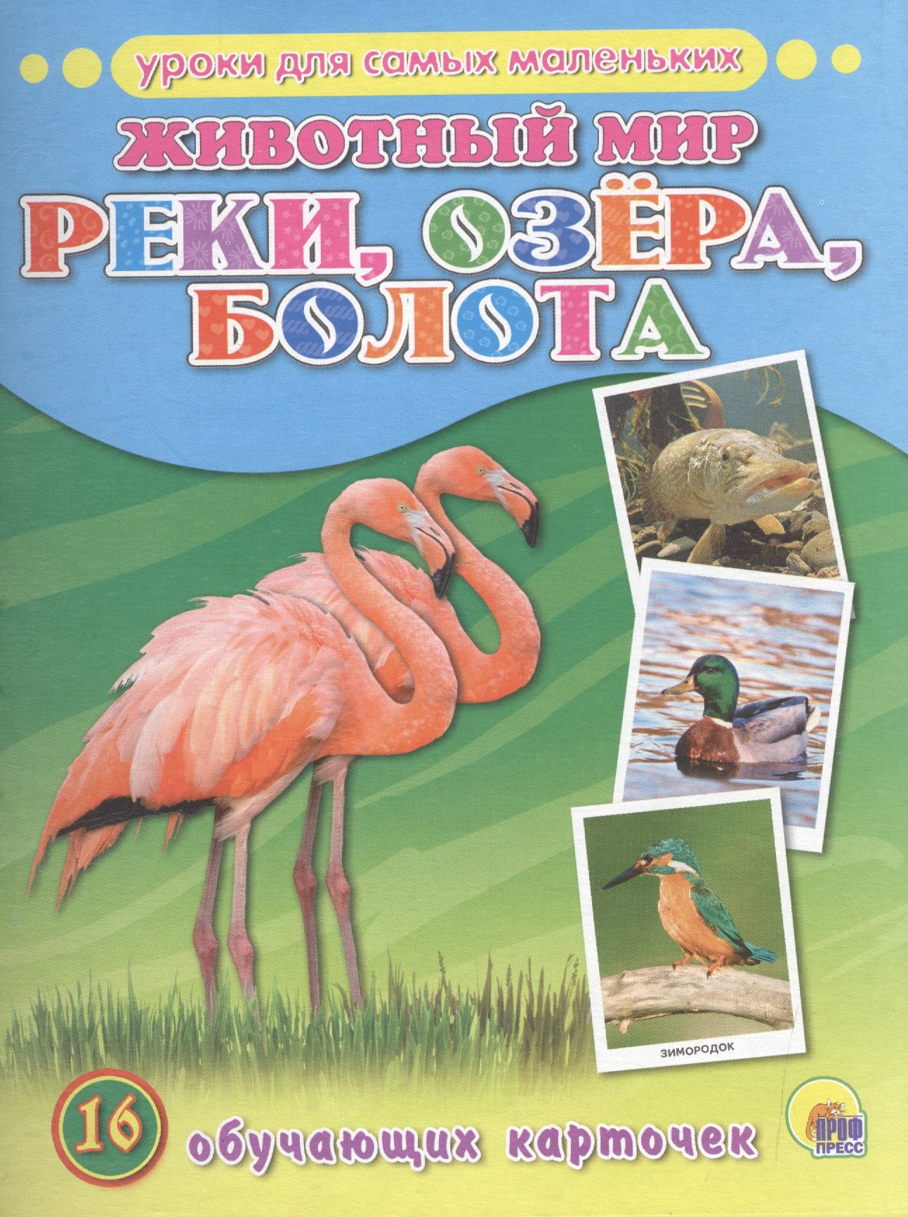 

Животный мир. Реки,озера,болота.