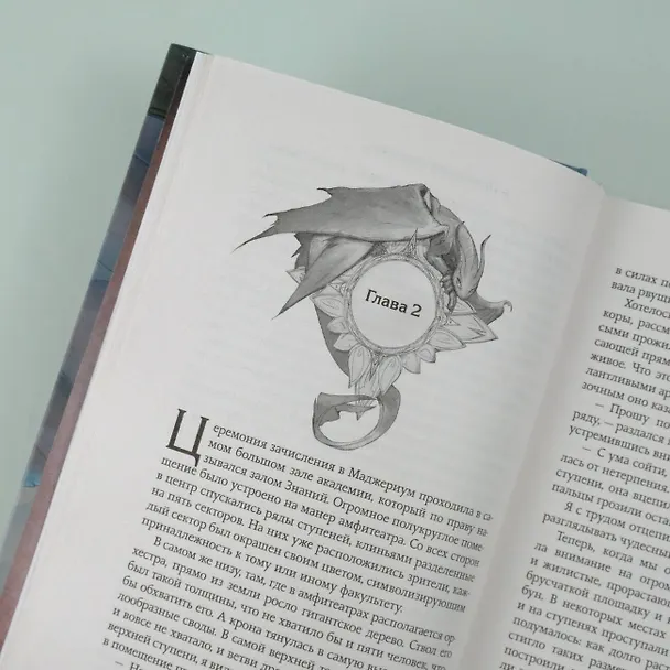 Книга Маджериум. Поцелуй в темноте (Ольга Кандела) — 11