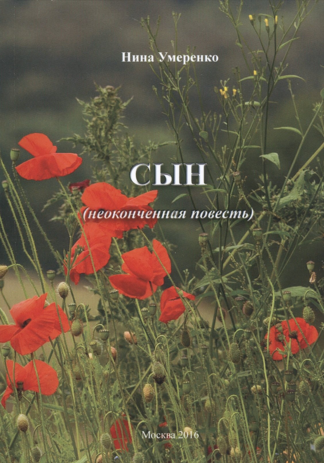

Сын (неоконченная повесть)