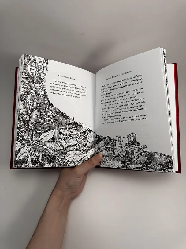 Книга Сказки Барда Бидля (с черно-белыми иллюстрациями) (Джоан Кэтлин Роулинг) — 7