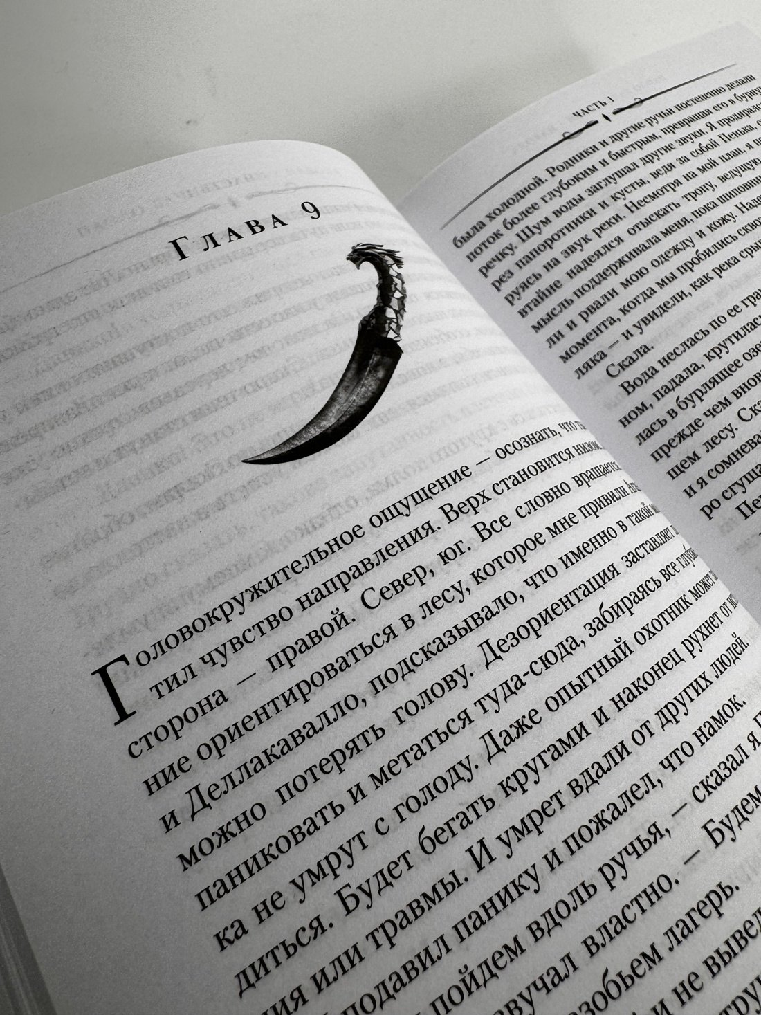 Изображение бумажной книги