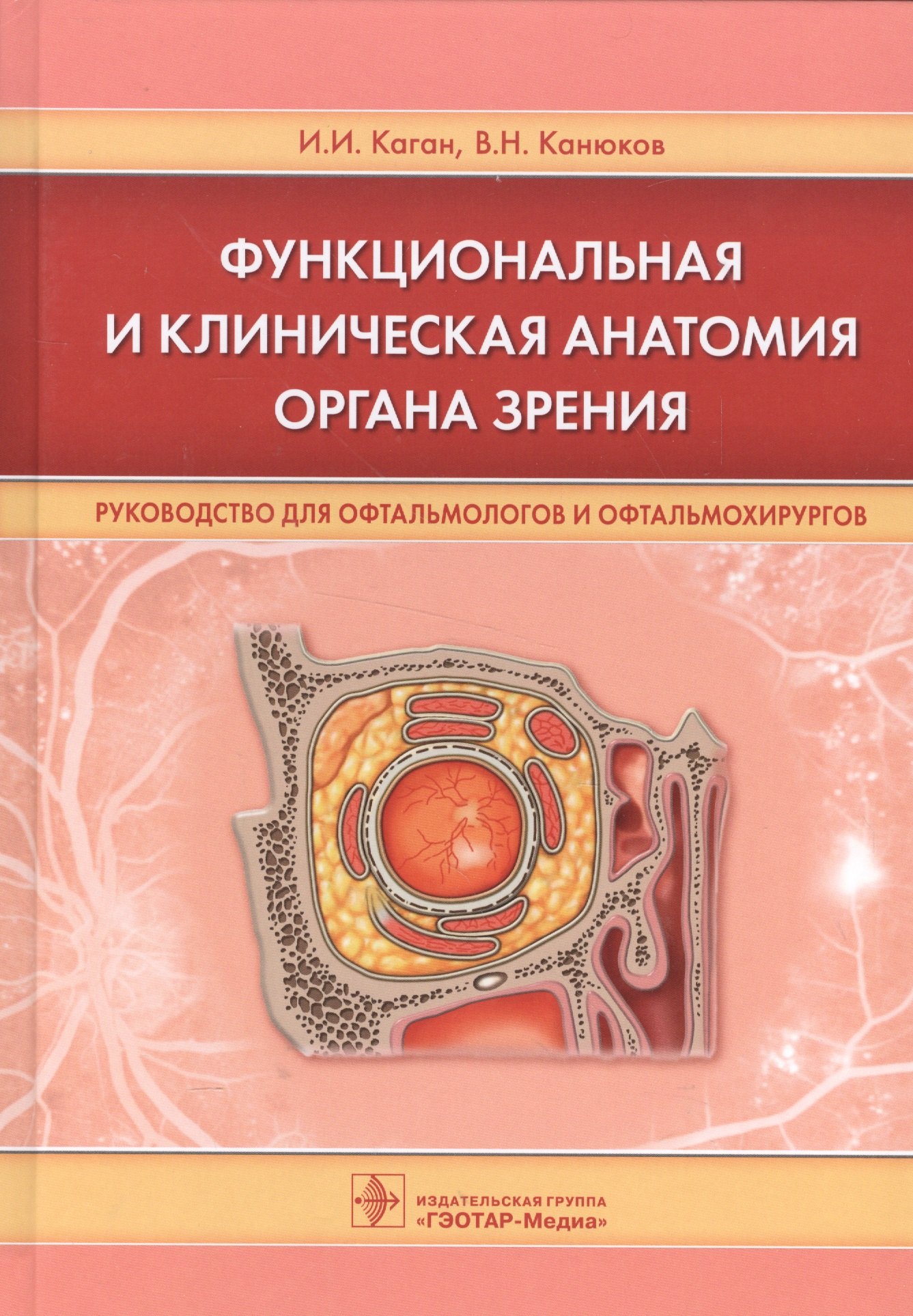 

Функциональная и клиническая анатомия органа зрения.