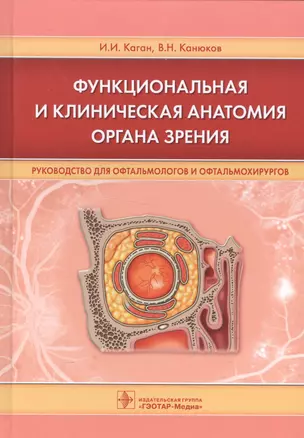 Функциональная и клиническая анатомия органа зрения. — 2561267 — 1