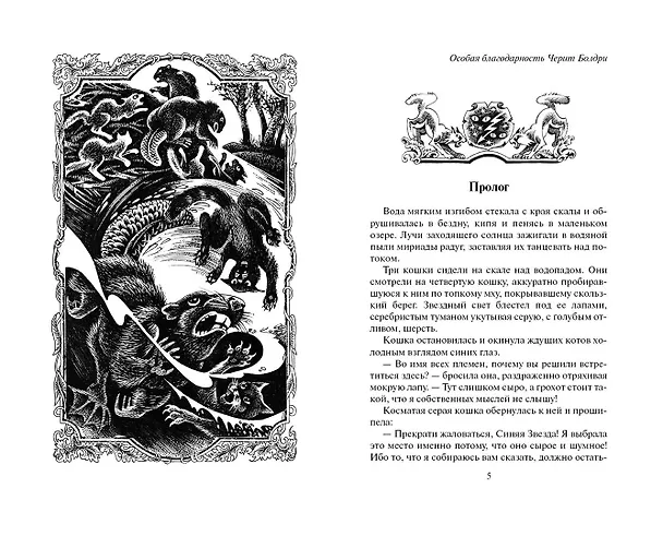 Книга Четвертый оруженосец (Эрин Хантер) — 2