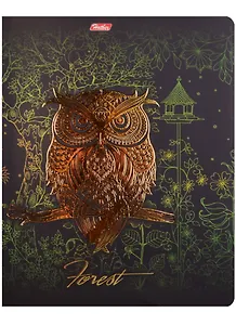 Тетрадь в клетку Hatber, "Золотые совушки", 48 листов, в ассортименте