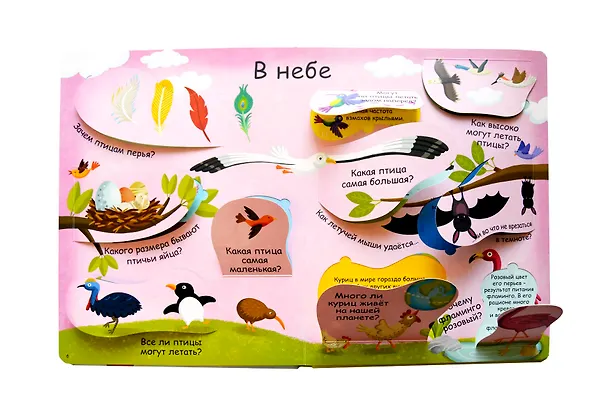 Книга Волшебные окошки. Животные () — 2