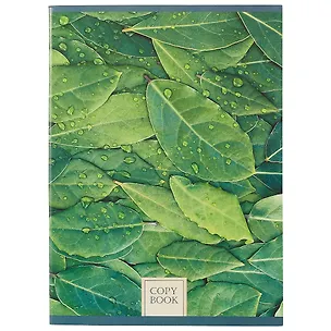 Тетрадь в клетку Listoff, "Листва в росе", А4, 80 листов, в ассортименте 248900