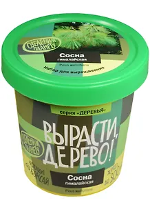 Набор для опытов и экспериментов Набор Вырасти дерево! Сосна гималайская zk-051