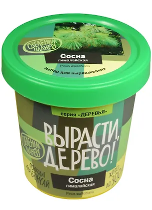 Набор для опытов и экспериментов Набор Вырасти дерево! Сосна гималайская zk-051 2552573