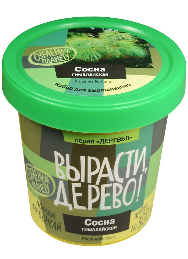 Набор для опытов и экспериментов Набор Вырасти дерево! Сосна гималайская zk-051 2552573 — 1