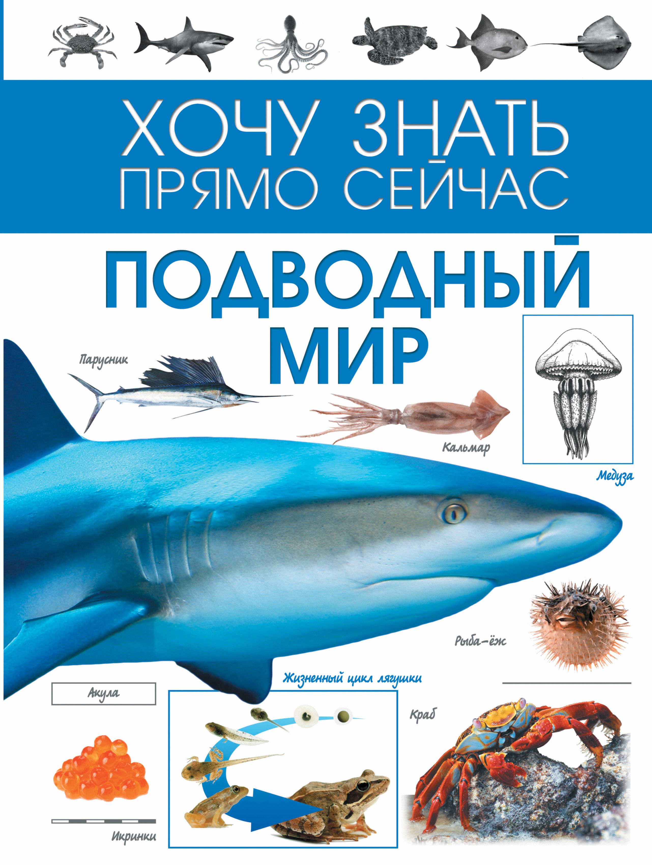 

Подводный мир