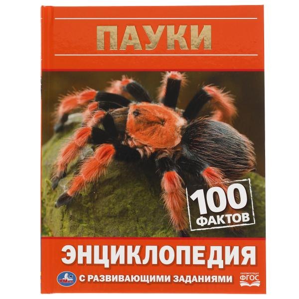 Пауки. 100 фактов